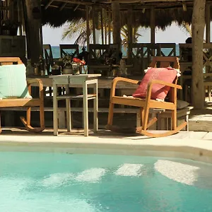 https://punta-piedra-beach-posada.tulum-hotels.net